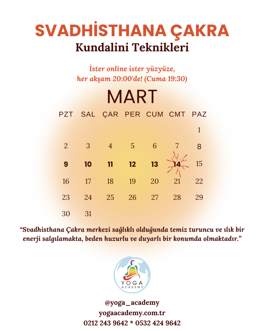 ÇAKRA ÇALIŞMALARI